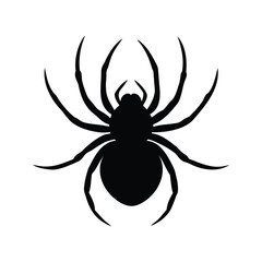 Silhouette of a spider on white background for Halloween decoration