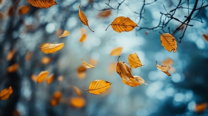 Autumn leaves in the forest in the wind