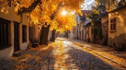 old street on a sunny autumn day