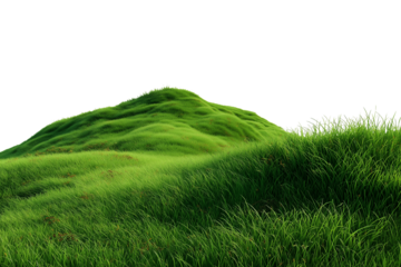 Green grass hill cut out design element