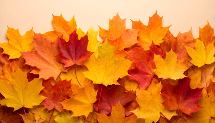 Colorful Autumn Maple Leaf Border with Vibrant Red, Orange, and Yellow Hues