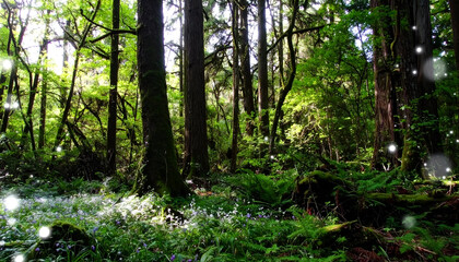 Obraz premium Enchanted Forest Glade with Sunlit Wildflowers and Magical Orbs