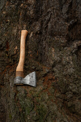 A large axe lies on the bark of a tree - close-up.
