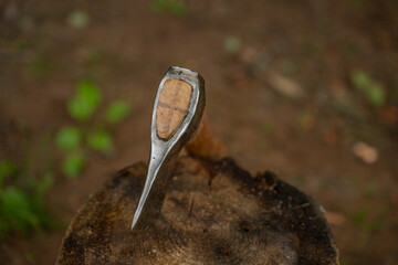 Swedish axe stuck into stump - close up