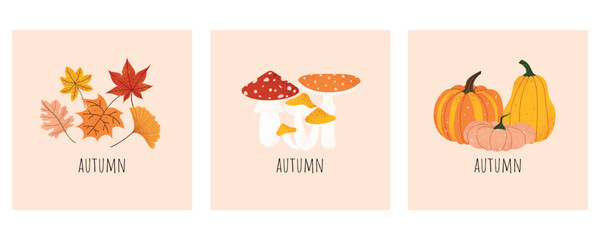Vector set of fall greeting cards with leaves, mushrooms, pumpkins. Autumn postcards with cozy seasonal illustrations. Thanksgiving, fall decor, minimalist style. Hand-drawn flat design.