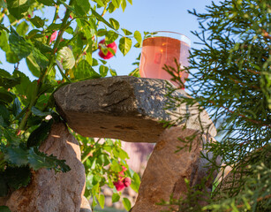 A sunny summer day in the garden and a fresh berry drink. A glass of lemonade in the garden on a stone stand near a rose bush. A pink drink in a transparent glass stands on a stone in the garden. High