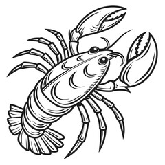Detailed line art drawing of a majestic lobster with claws and tail for seafood or marine themes