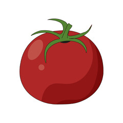 Vector tomato isolated transparent backgorund. Perfect vector graphic tomato template design. EPS 10