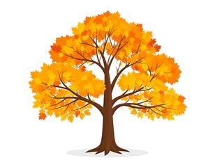 Vibrant Autumn Foliage Displayed on a Solitary Tree Against a White Backdrop