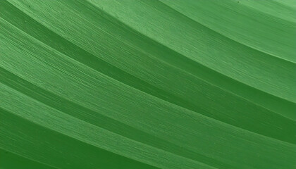 Lush Green Tropical Leaf with Rhythmic Diagonal Veins and Texture