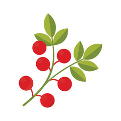 Red Berries on a Branch with Green Leaves