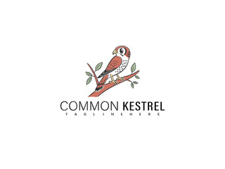 Whimsical cartoon Common Kestrel perched on a bare tree branch with stylized feathering and friendly smile, designed for wildlife educational kits, animal branding, and bird-themed children&rsquo;s art.

