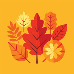 Autumn fall leaves collection isolated on white background