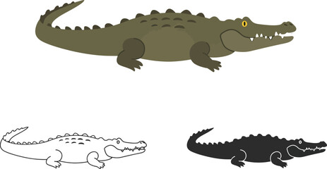 Collection of three distinct illustrations of a crocodile in different styles including a colored drawing a sketch and a silhouette