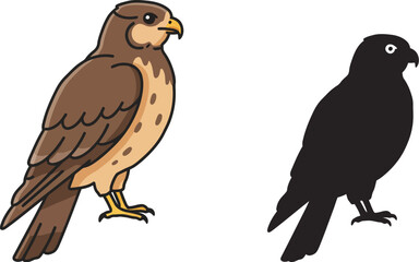 Detailed illustration of a perched hawk next to its black silhouette on a white background