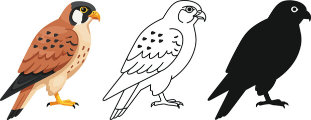 Three distinct representations of a kestrel bird including a detailed illustration a silhouette and a realistic depiction