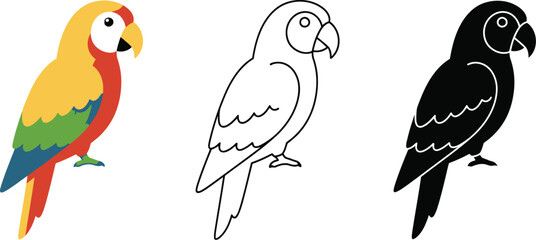Three stylized parrots in different artistic styles including a colorful illustration outline and silhouette