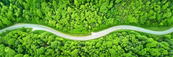 highly detailed, dense, close-up, macro view of lush, verdant, vibrant green leaves, intricate foliage patterns, natural organic textures, winding, curved, sinuous path or trail, minimalist, clean