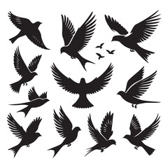 Flying Birds Silhouettes Set