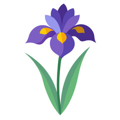  Purple Iris Flower Illustration