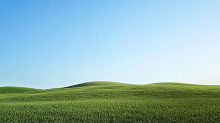 Fototapeta premium Pastoral Tranquility: Rolling Hills and Azure Sky Landscape Scenery