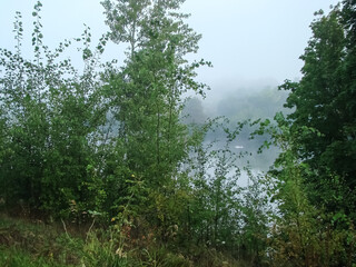 Obraz premium Foggy morning in the countryside in summer.