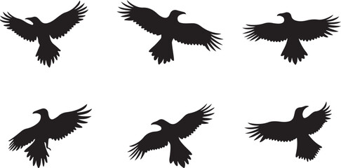 Obraz premium Soaring Bird Silhouettes Set for Nature-Inspired Designs 