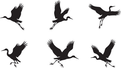 Obraz premium Soaring Bird Silhouettes Set for Nature-Inspired Designs 