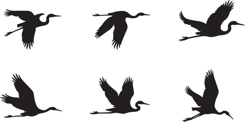Fototapeta premium Soaring Bird Silhouettes Set for Nature-Inspired Designs 