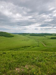 Rolling green hills landscape with dirt road under a cloudy sky vista view