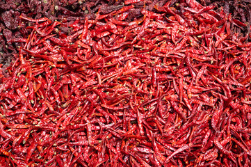 Fototapeta premium Red chilli pepper spices for sale on a spice market in Mumbai, India, fresh ingredients for cooking indian food