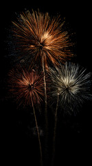 Illuminating the Night: A Dazzling Bright Fireworks Display Bursting with Colorful Lights and Patterns in the Dark Sky