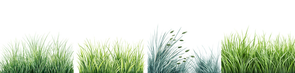 Green Grass Collection: Realistic Isolated Lawn Elements