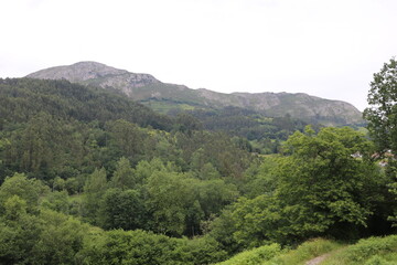 Obraz premium Paisaje montañoso