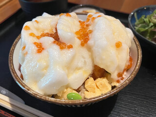 Assorted Sashimi Rice Bowl Topped with Egg White Foam, Yuzu Sauce, and Salmon Roe and side dish