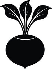 kohlrabi on white background.eps