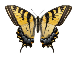 Fototapeta premium Butterfly in flight natural habitat vibrant colors view nature's beauty isolated on transparent background