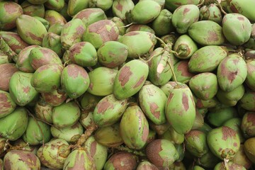fresh naturally sweet water  tender coconuts and soft meat