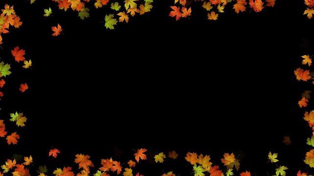colorful autumn maple leaves border frame alpha channel 4k animation, realistic leaf on transparent background, thanksgiving and Halloween motion design element	