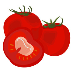 Vector illustration of fresh red tomato 
