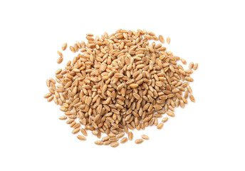 Pile of ripe wheat grains isolated on white, top view