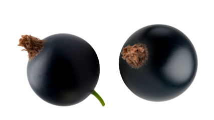 black currant berries on a transparent background