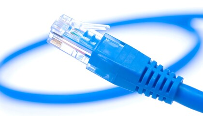 Blue network cable connector close-up