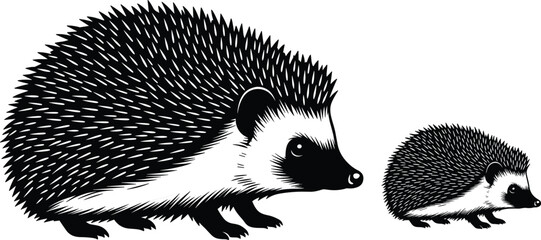 Hedgehog illustration, black and white drawing, wildlife art, nature animals, detailed sketch, cute forest creatures, small and large hedgehogs, spiky texture, animal silhouette