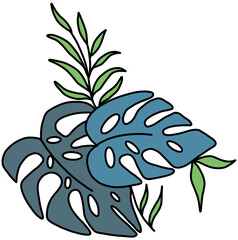 vector illustration of a plant 몬스테라 식물 초록색