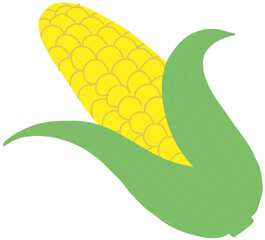 corn on the cob 옥수수, 콘, 노란옥수수
