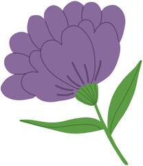  flower 꽃 보라색 아름다운, 우아한