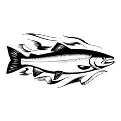 Salmon fish vector sketch engraving outline isolated on white Scratch board imitation