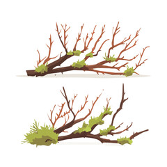 Christmas dry twigs and forest moss set in an isometric flat 2D style — transparent background, minimal clean look, cute cartoon vector illustration by me.