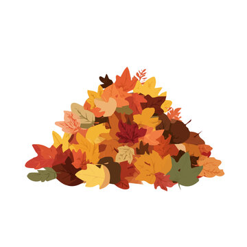 Bright and simple 2D fallen leaf pile mixed autumn vector set, isolated on transparent background &mdash; clean animation-inspired design by me. orange and yellow dry leaf